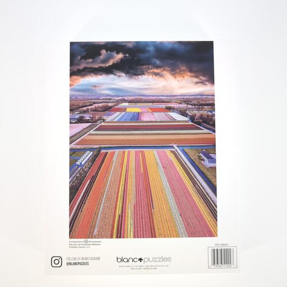 Blanc Buffalo Games Infinity Fields of the Netherlands 1000 Pieces Jigsaw Puzzle - Picture 9 of 12